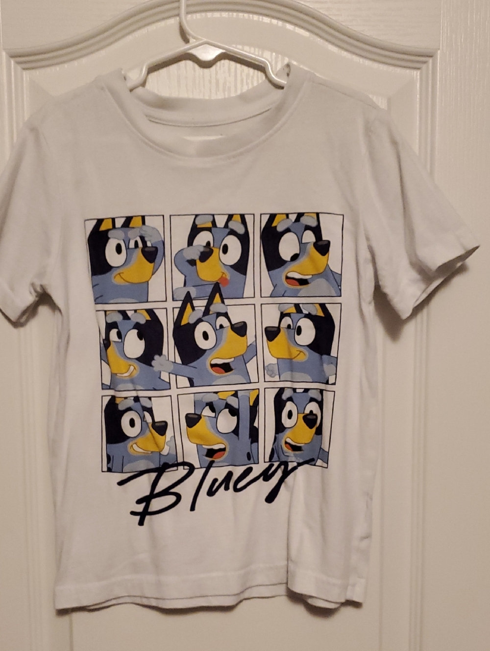 Lucy White Short Sleeve Tee with Bluey Cartoon Panel Print